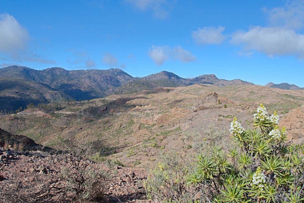gran canaria spanje Degollada de las Yeguas eiland canarische Eilanden las palmas maspalomas puerto de mogan strand Fuente de Los Azulejos Aguimes la Aldea las nieves tenerife teror